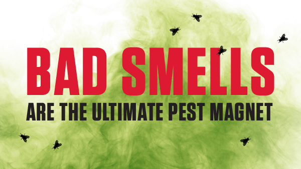 Bad Smells Are The Ultimate Pest Magnet