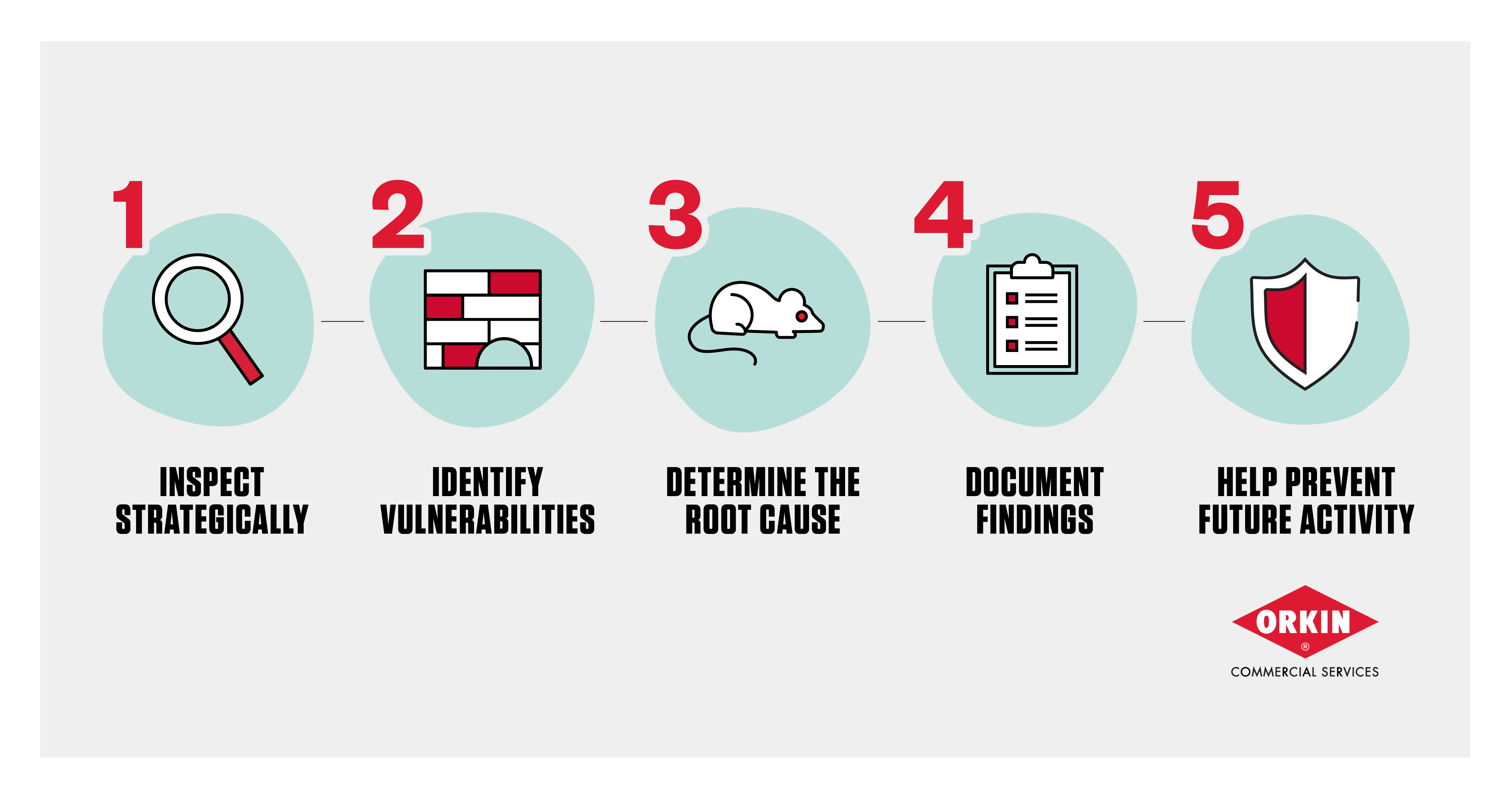 5-step checklist: 1. Inspect strategically, 2. Identify vulnerabilities, 3. Determine the root cause, 4. Document findings, 5. Help prevent future activity.