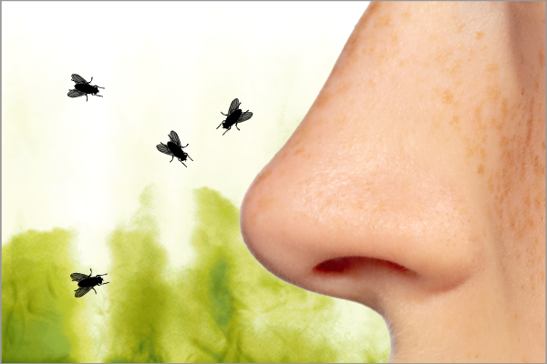 Close up profile of a nose over an illustrative green mist and flies representing an unpleasant smell