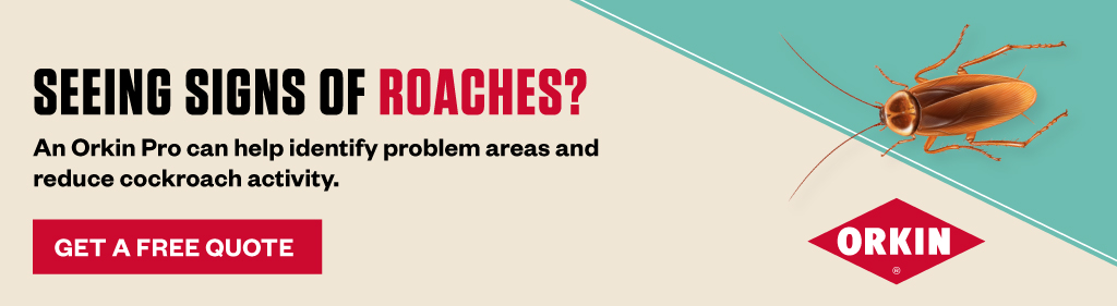 Banner reading Seeing signs of roaches? An Orkin Pro can help identify problem areas and reduce cockroach activity. Get a free quote. Orkin.