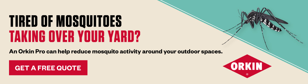 Banner reading Tired of mosquitoes taking over your yard? An Orkin Pro can help reduce mosquito activity around your outdoor spaces. Get a free quote. Orkin.