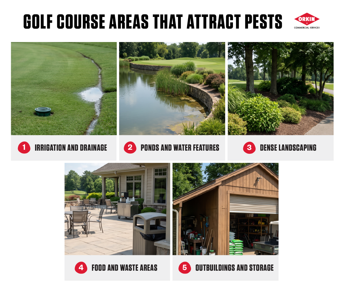 Infographic titled "Golf Course Areas That Attract Pests" showing 5 areas: Irrigation and drainage, Ponds and water features, Dense landscaping, Food and waste areas, and Outbuildings and storage.