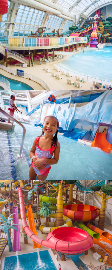 Things To Know About DreamWorks Water Park at American Dream - HollyDayz  Travel & Lifestyle