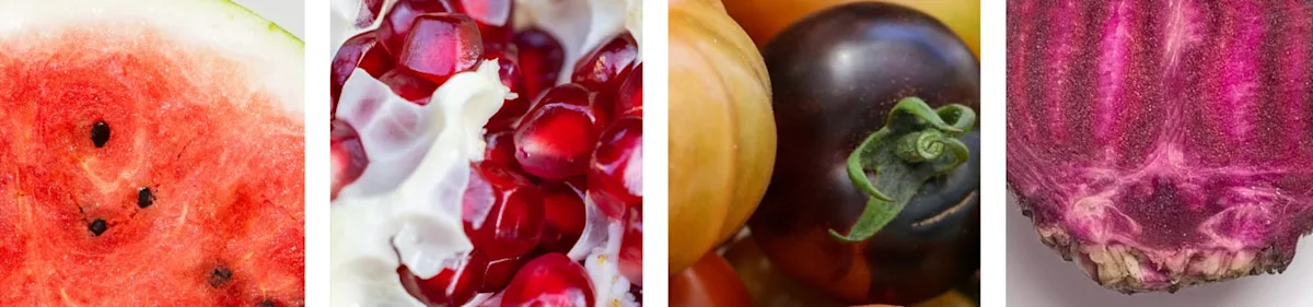 Image in Macronutrients 101: How to make your meals count