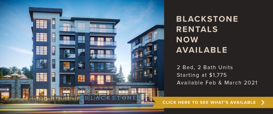 Blackstone Rentals now Available
