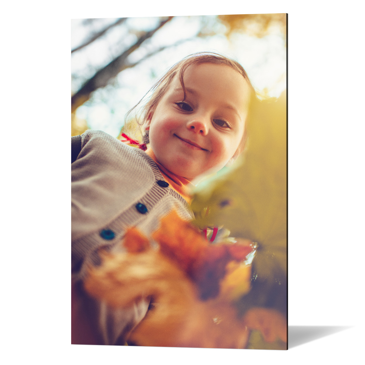 Lerretsbilder og personaliserte bilder på lerret