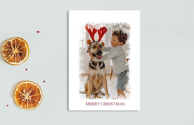 Plus Campaign / UPS Block Group / Cards