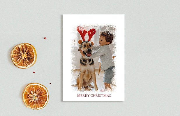 Plus Campaign / UPS Block Group / Cards