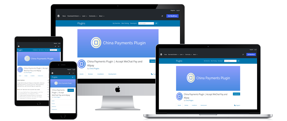 47 1 china payments plugin