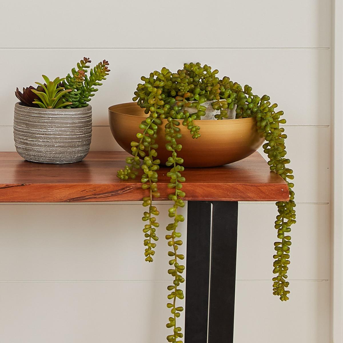 Accents Plants on Table 08242021 - NBG Home Charleston - LIFESTYLE2738