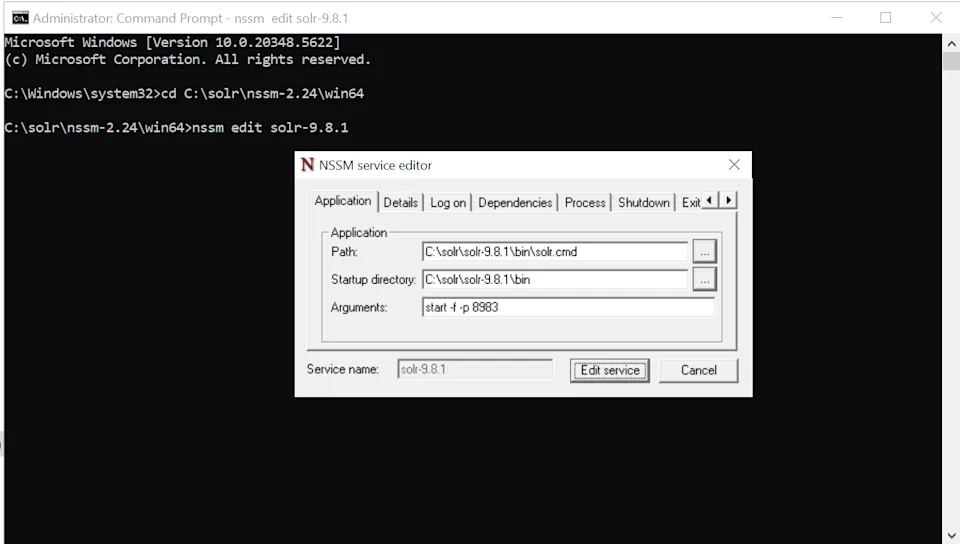 NSSM Application tab for Solr 9.8.1