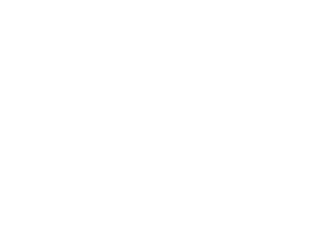 PostgreSQL