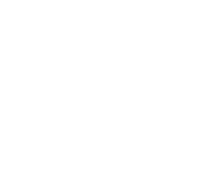 Next.js