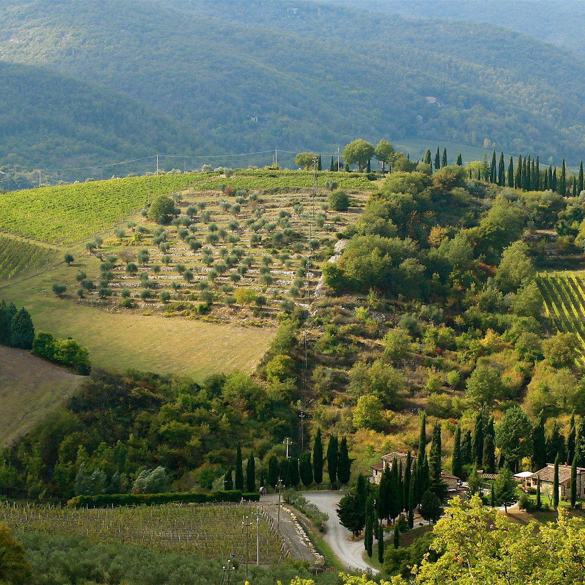 Radda in Chianti: cosa vedere, dove mangiare e molto altro, nel cuore