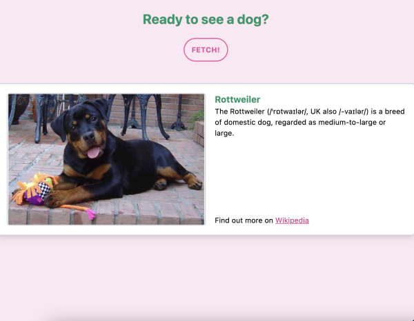 Screenshot of the Fetch! application.