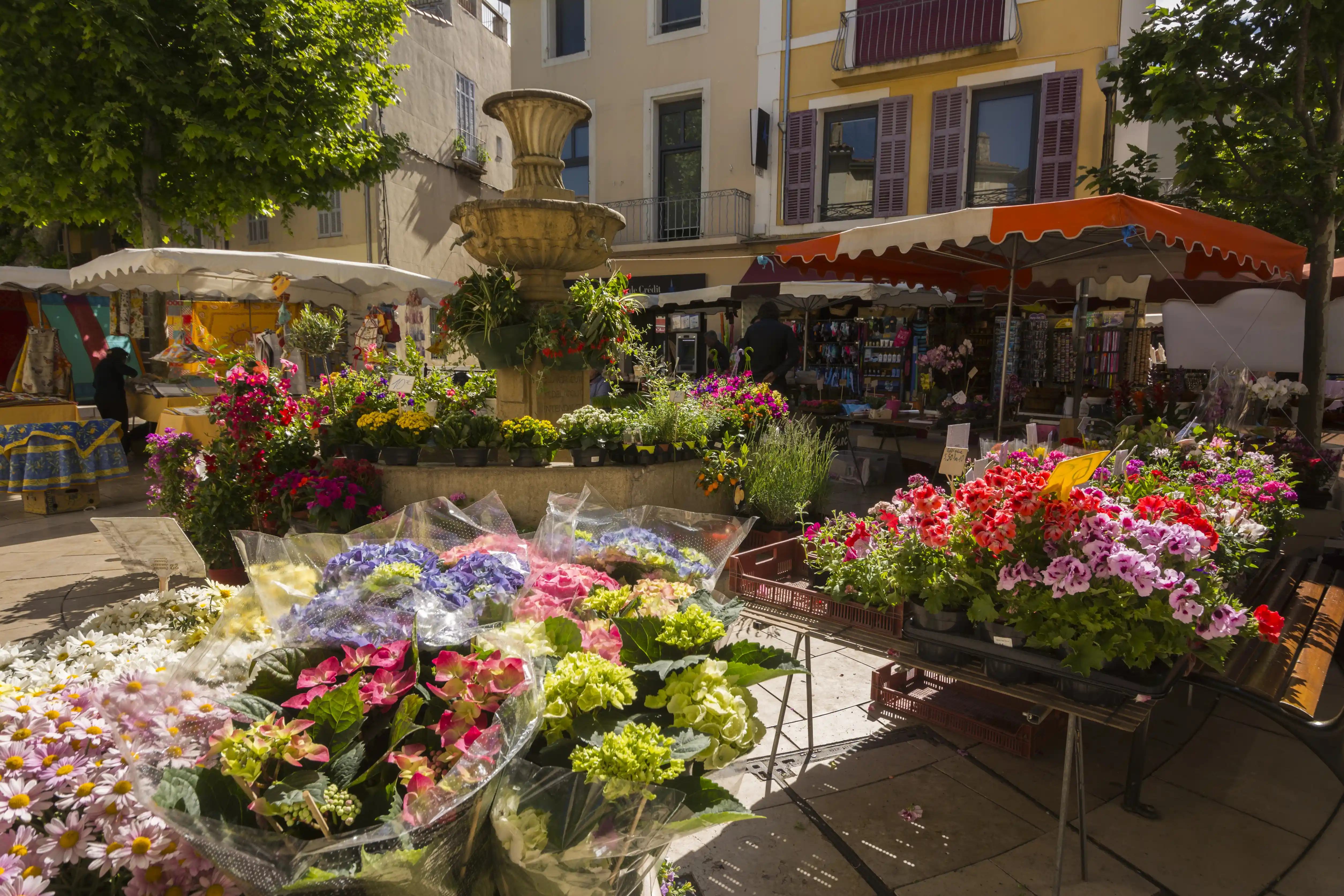 Flower vendors in Cassis France maket.
