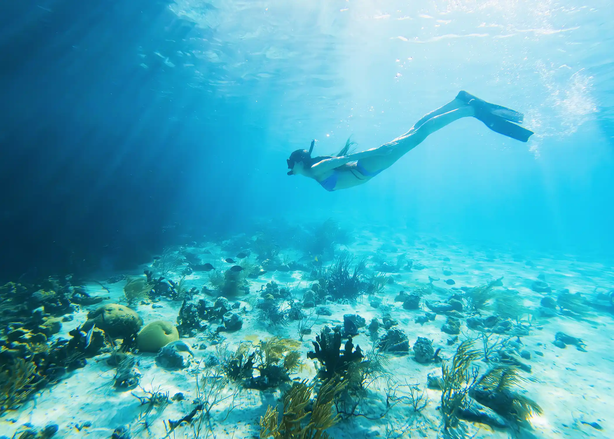 Guest snorkeling in the Exuma Sound.