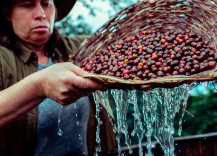 Alle Geschiedenis Ooit