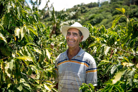 Costa Rica Koffieboer
