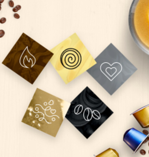Curious which coffee suits your taste?