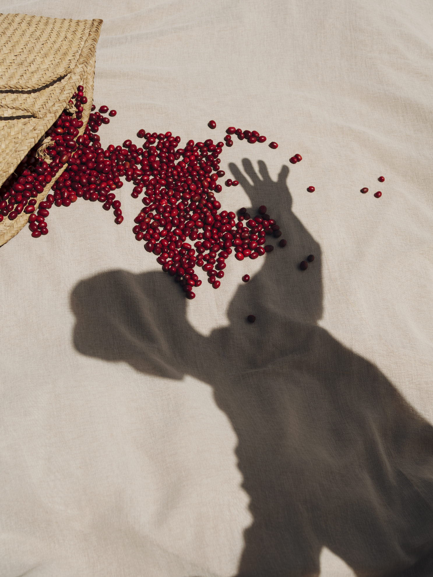 Koffiebonen grijze achtergrond