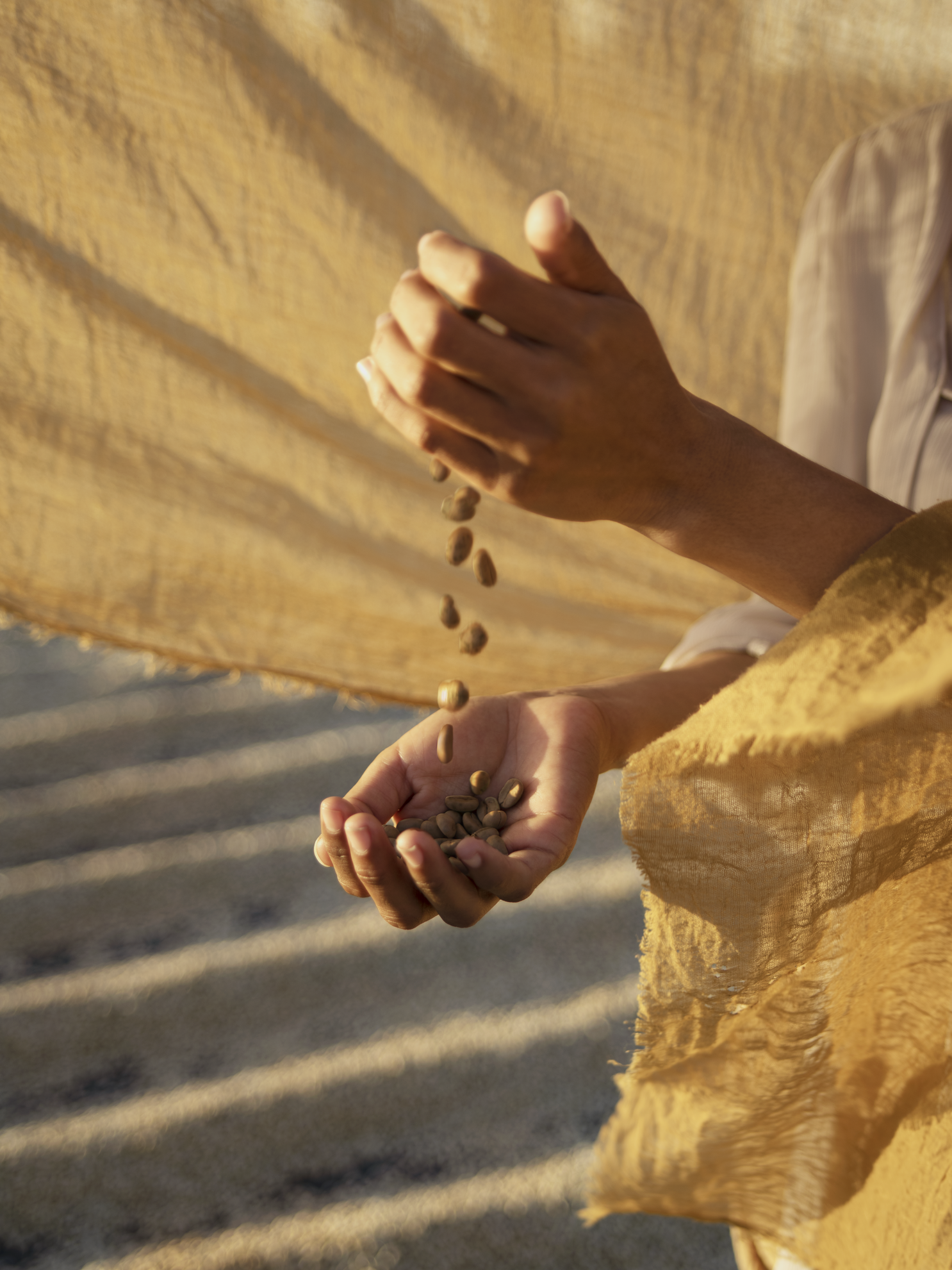 Nicaragua bonen handen