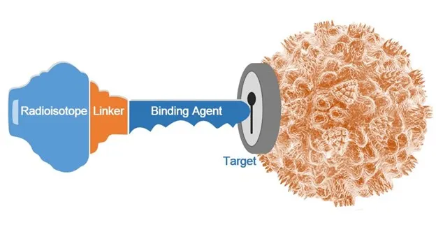 Molecular Imaging Key
