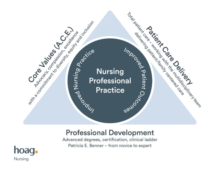 14016 NursingProfessionalPracticeModelUpdate0224 2-768x594