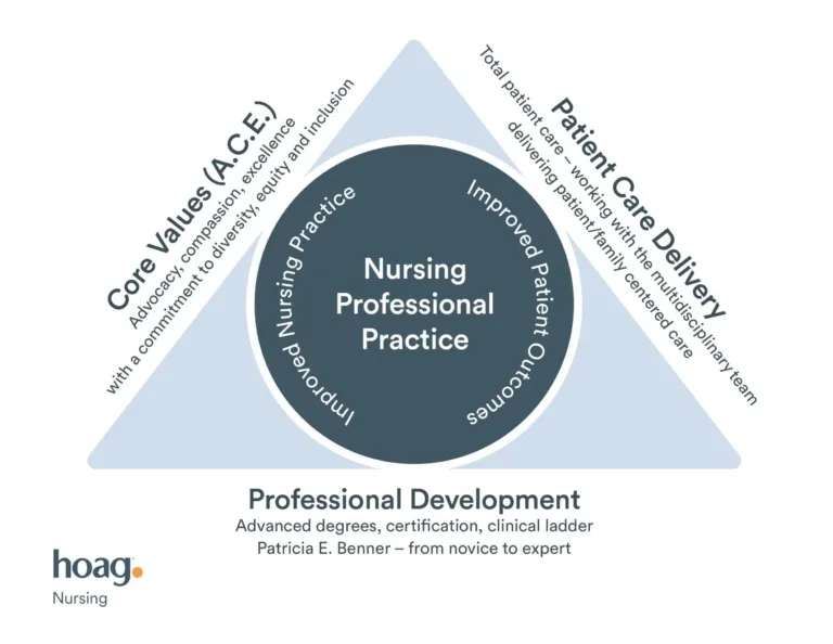 14016 NursingProfessionalPracticeModelUpdate0224 2-768x594