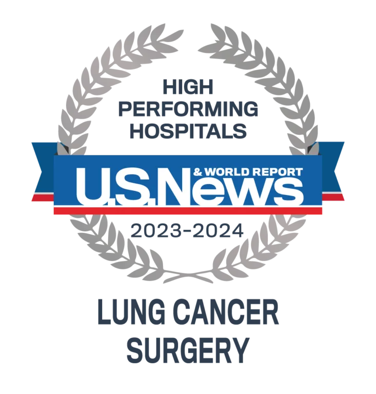 High Performing Hospitals Emblem