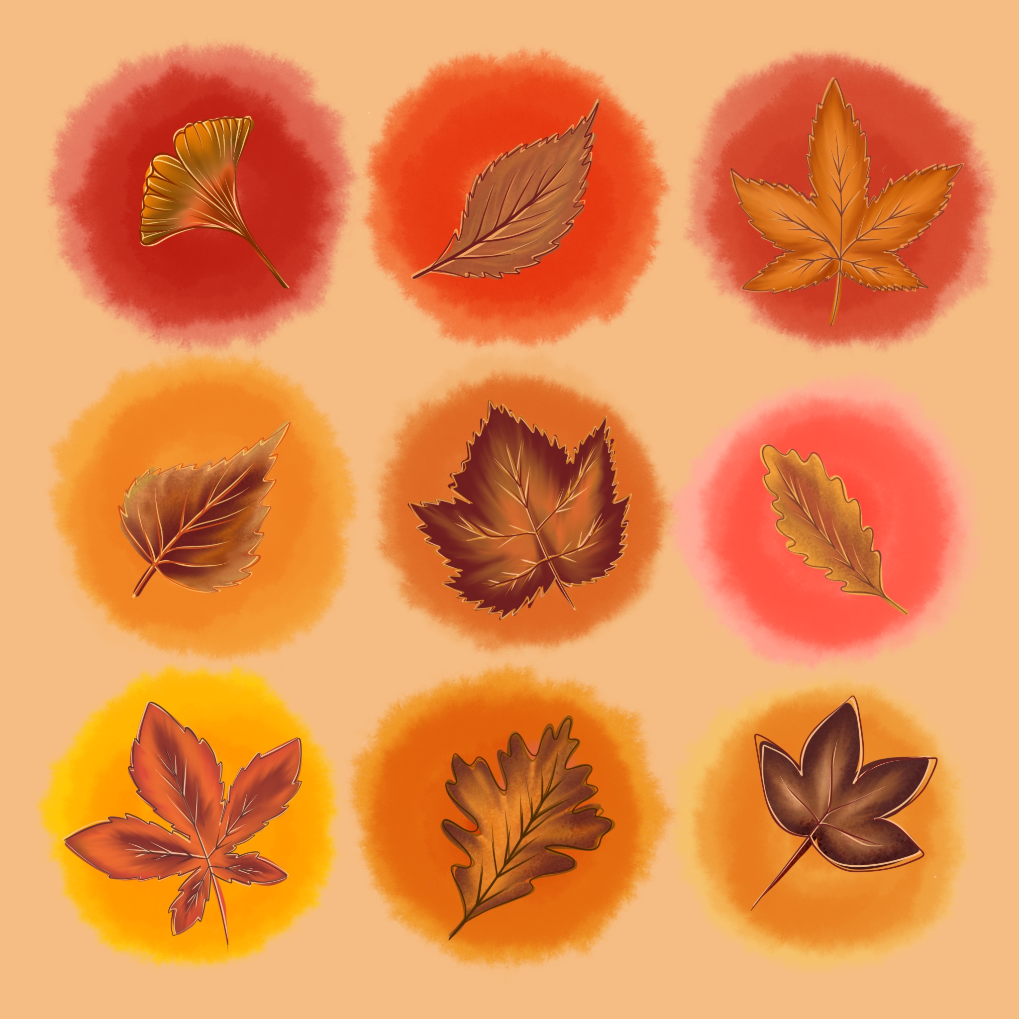 Herbst Illustrationen - Bild 4