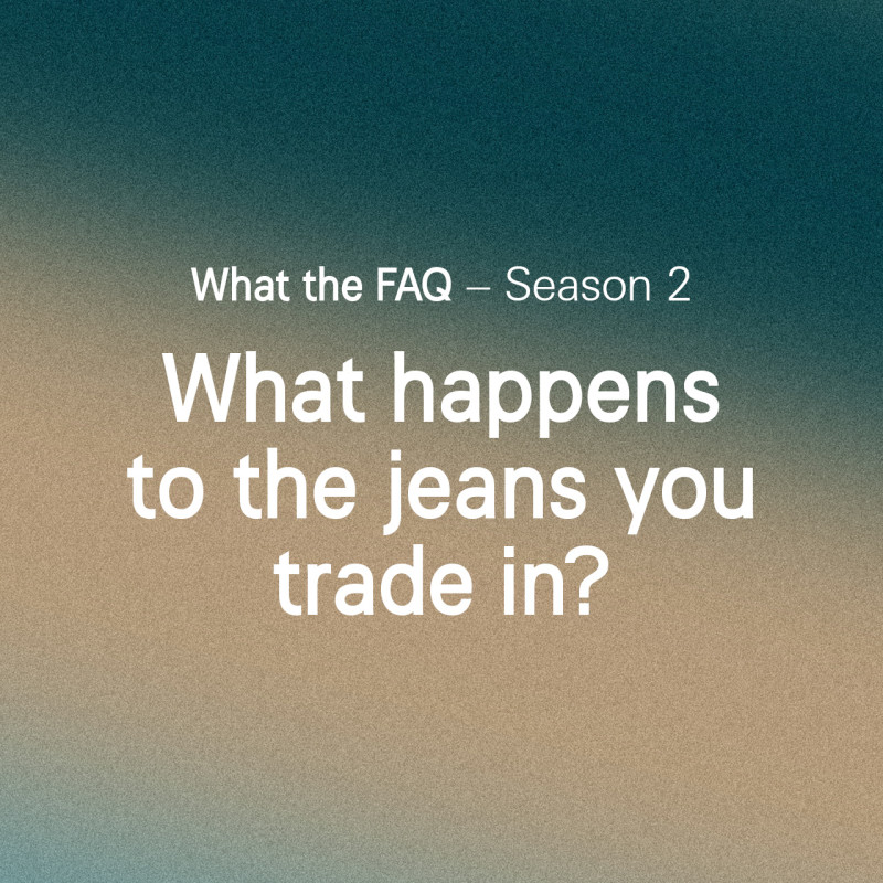 WTF-s02-Trade-in