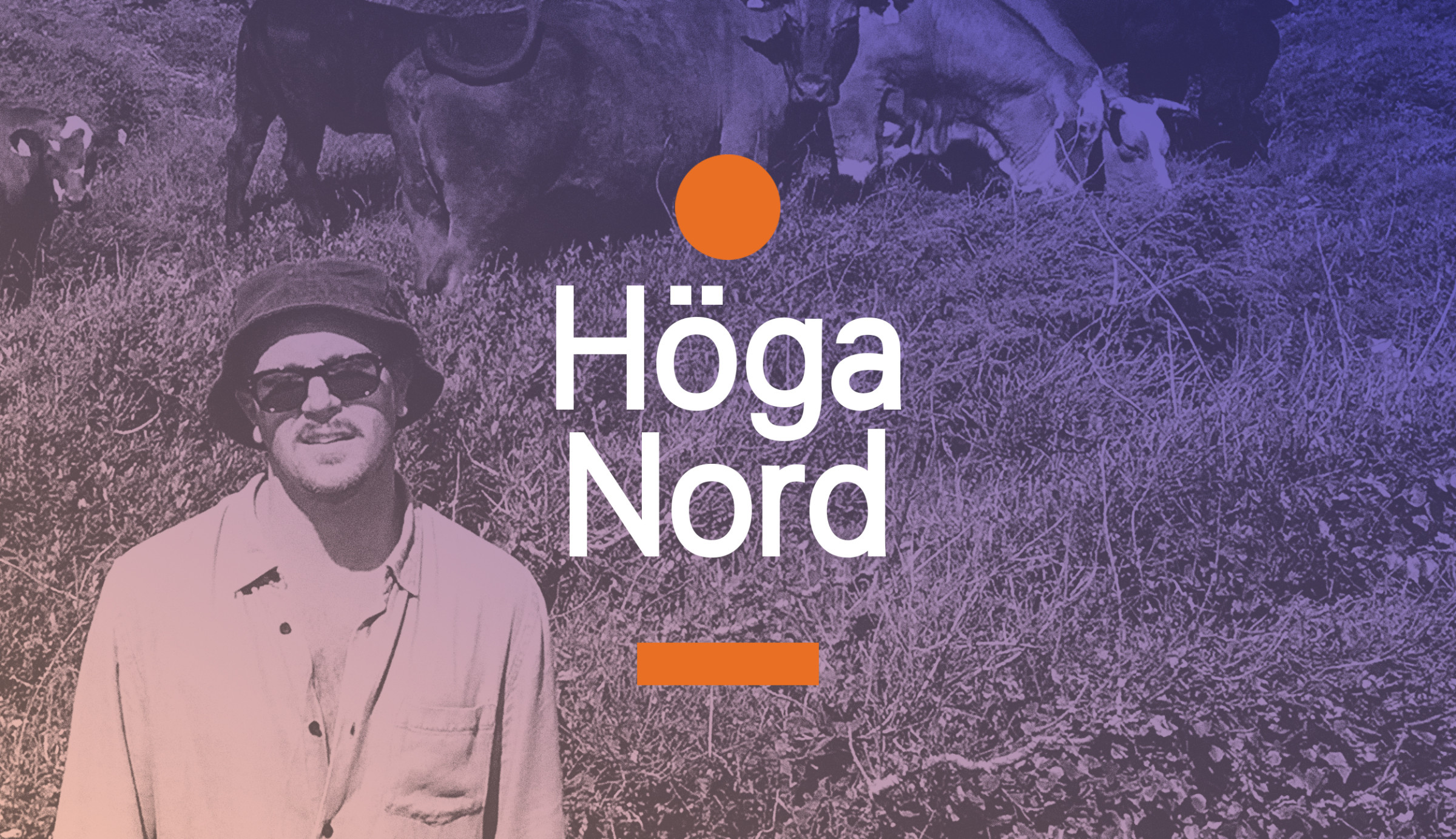 Curated By Höga Nord