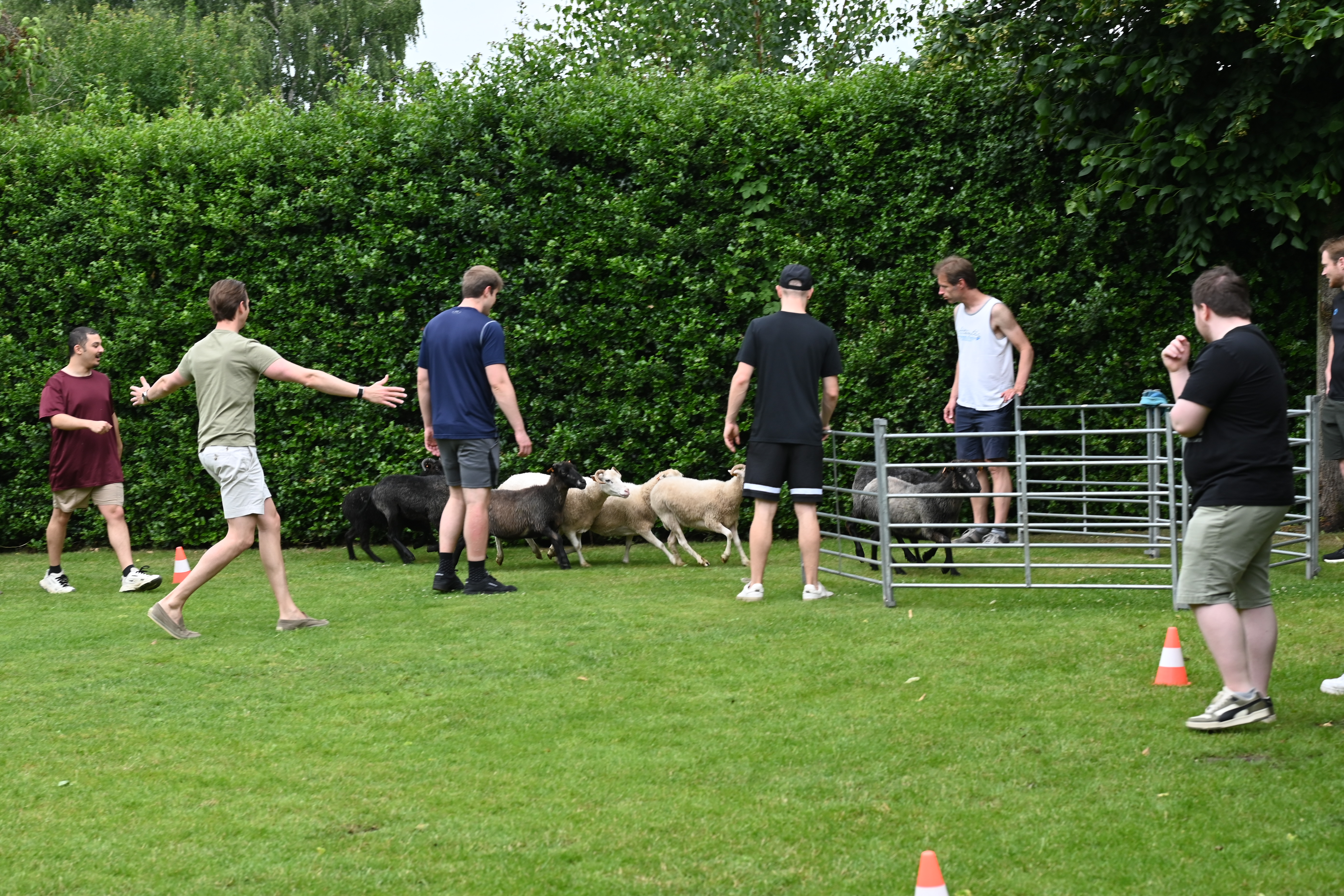 DSC_4095.JPG
