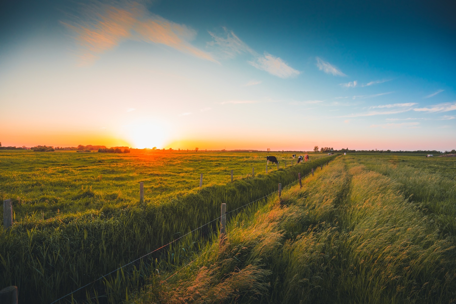 adobestock_305104292.jpeg