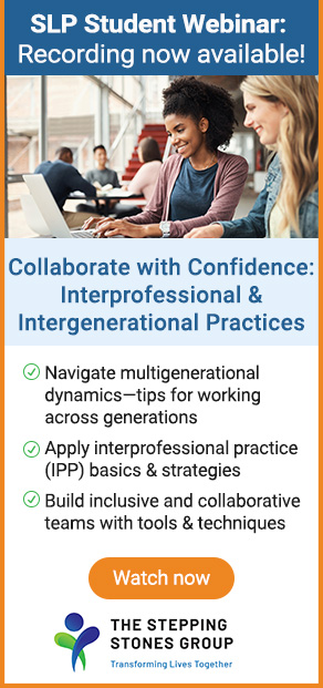 Stepping Stones Group Webinar Recording - November 2025