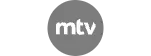MTV logo | MarqueeLogoItem
