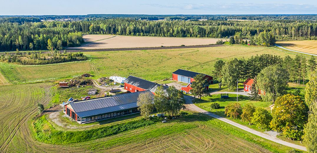 Case Carlsson Ring Fastighetsmäklare