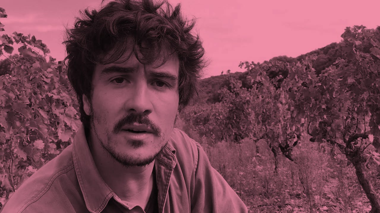 Les Vignes d’Olivier - Vinsupernaturel