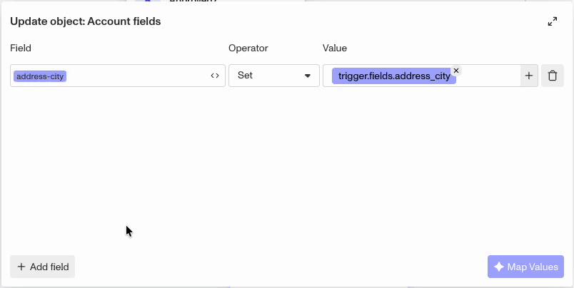 MappingAccountUpdateFields