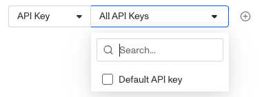 api-logs-api-key