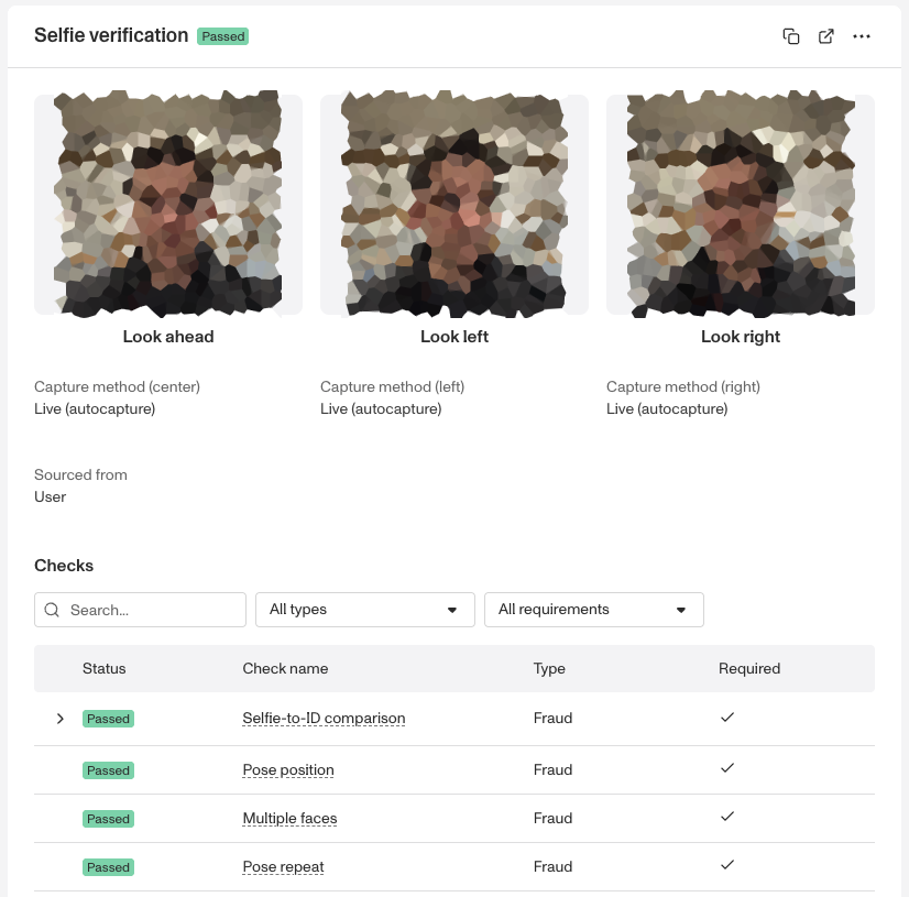 UpdatedSelfVerificationExampleBlurred