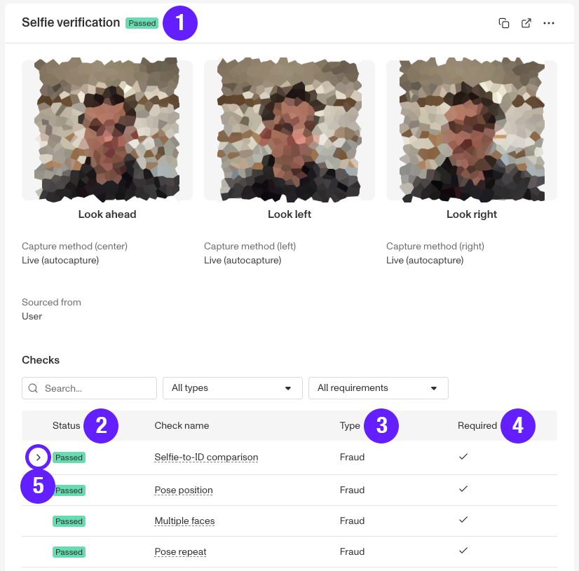 UpdatedSelfVerificationExampleBlurredNumbered