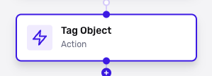 workflows-tag-object-step.png