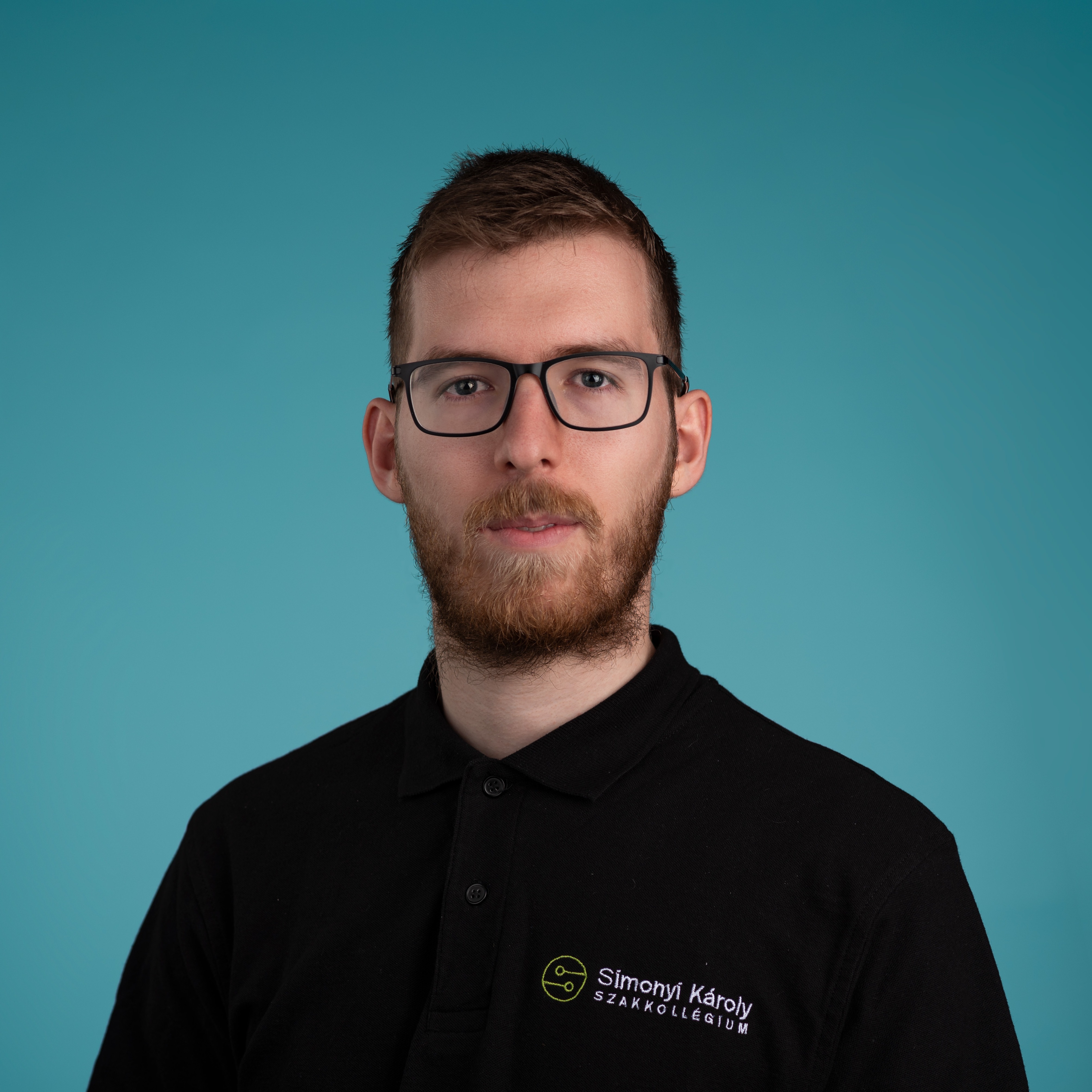 Sepsi László arcképe