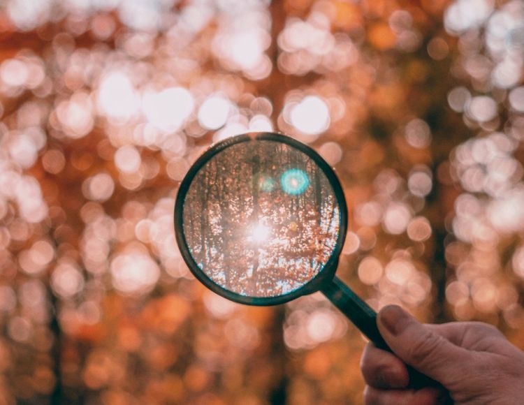 This panel discussion on job searching aims to help current Northeastern University students as they begin the job search, launch a career, and take advantage of opportunities when they present themselves. Topics that will be discussed by the panelists in