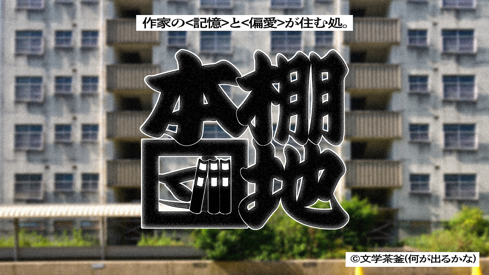 九段理江の記憶と偏愛が詰まった本部屋紹介