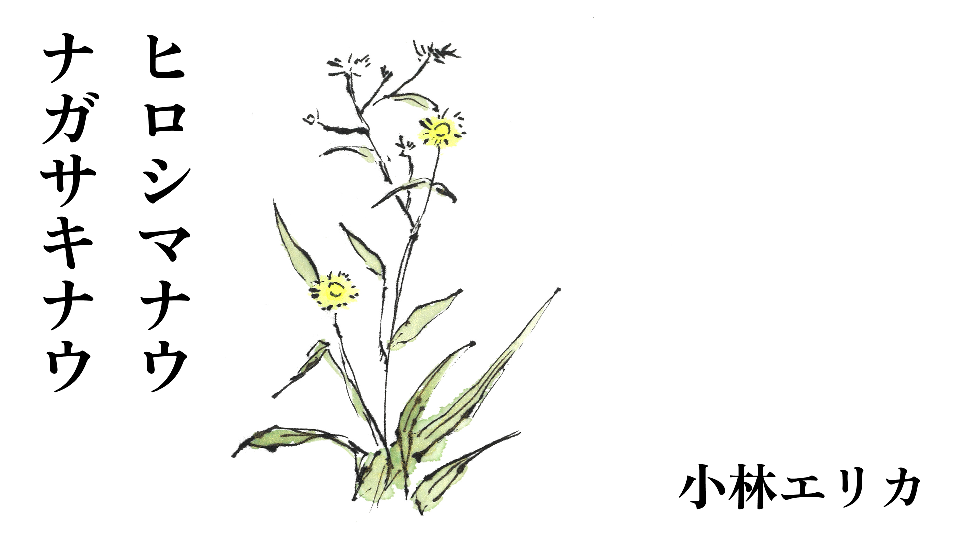 （５）トトロの庭