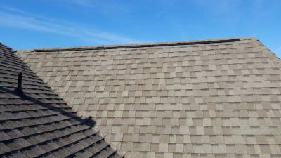 The Beauty and Benefits of Architectural Shingles