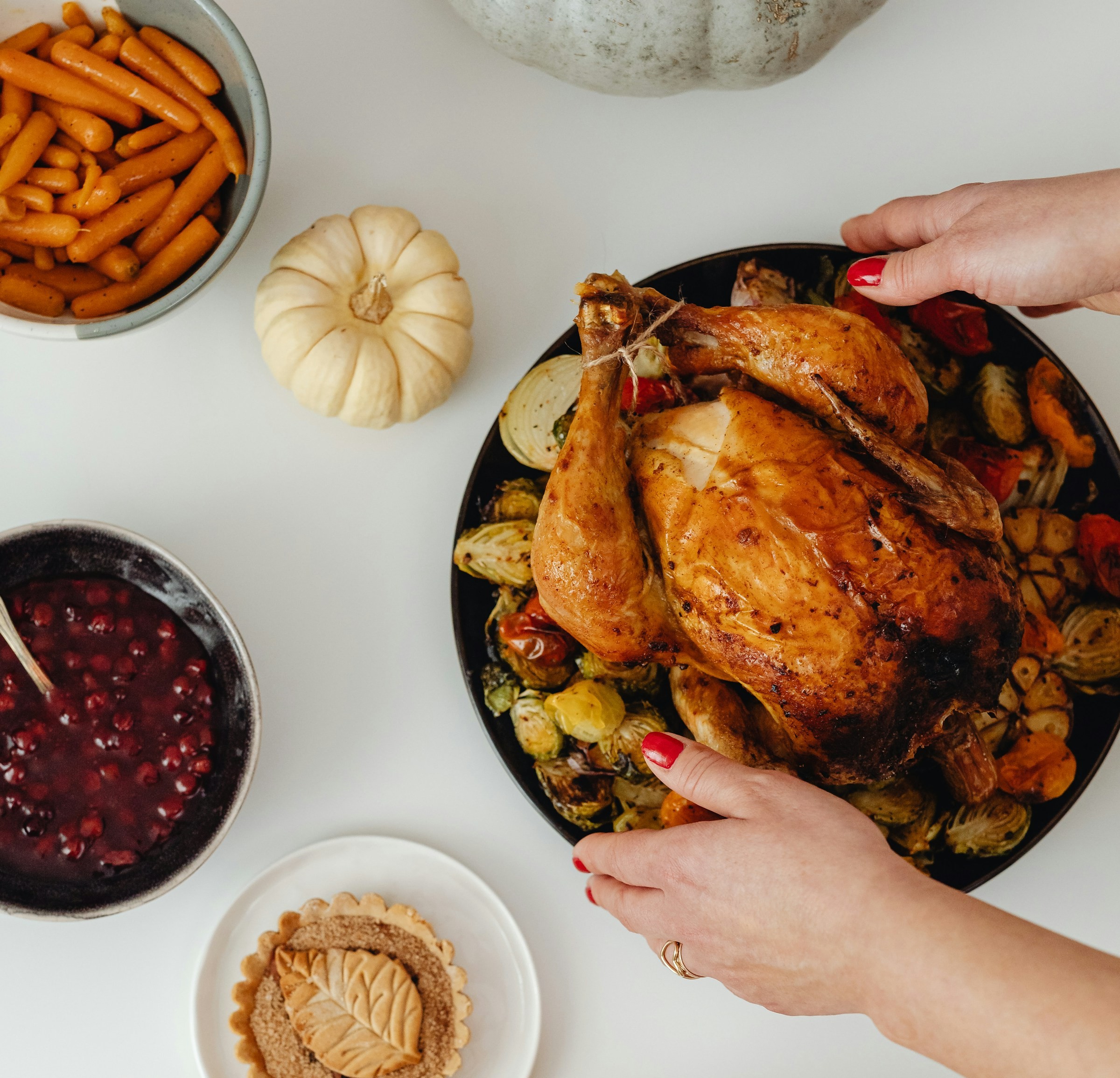 Can Cats Have Turkey?